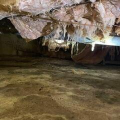 Crawl Space Waterproofing & Mold Prevention in Janetville, ON