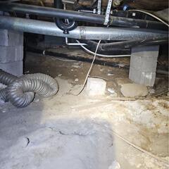 Humid crawl space repair in Orono, Ontario