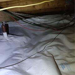 Sealing a crawl space in Woodville, ON