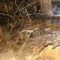 Repairing a crawl space in Alton, ON