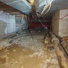 Repairing a humid crawl space in Newtonville, Ontario