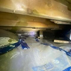 East Gwillimbury Crawl Space Upgrade: From Damp and Musty to Dry and Protected