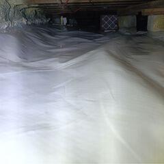 East Gwillimbury Crawl Space Upgrade: From Damp and Musty to Dry and Protected