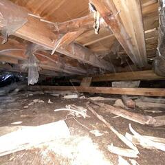 Full crawl space repair in Severn, ON