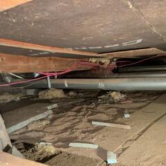 Repairing a crawl space in Dorset, ON
