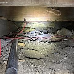 Repairing a crawl space in Belfountain, ON