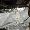 Pest infiltration solved in Waubaushene, Ontario