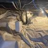 Compromised Crawl Space Structural Integrity in McDougall, ON