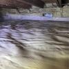 Contaminated crawl space repaired in Pontypool, Ontario