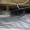 Humid crawl space repair in Orono, Ontario