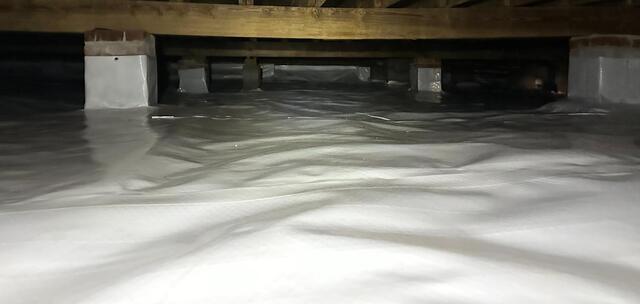 Repairing a School in Saint Marks, FL - After Photo