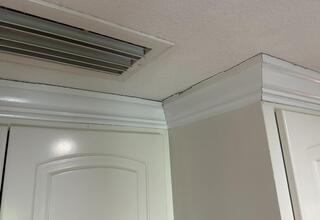 Settlement Repair in Boston, GA