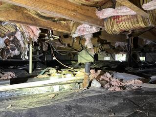 Crawl Space Transformation in Monticello, FL