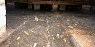 Repairing a School in Saint Marks, FL