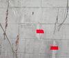 Crawl Space Repair in Tallahassee, FL