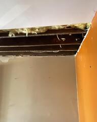 Got Mold? We've got you covered in New Haven, CT