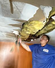 Got Mold? We've got you covered in New Haven, CT