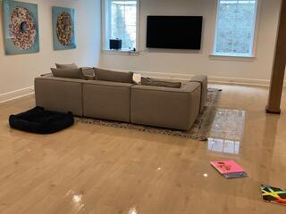 Basement Appliance Leak Soaks Floors in Riverside, CT.