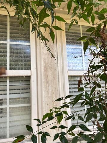 Home Soft Washing in Charlotte, NC - Before Photo