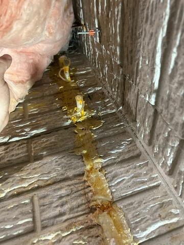 Watery Crack in Brunswick, OH