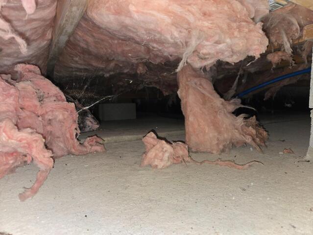 Crawl Space Encapsulation in Ashland, OH