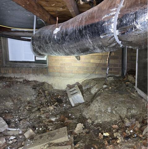 Encapsulated Crawl Space in Lakewood, OH - Before Photo