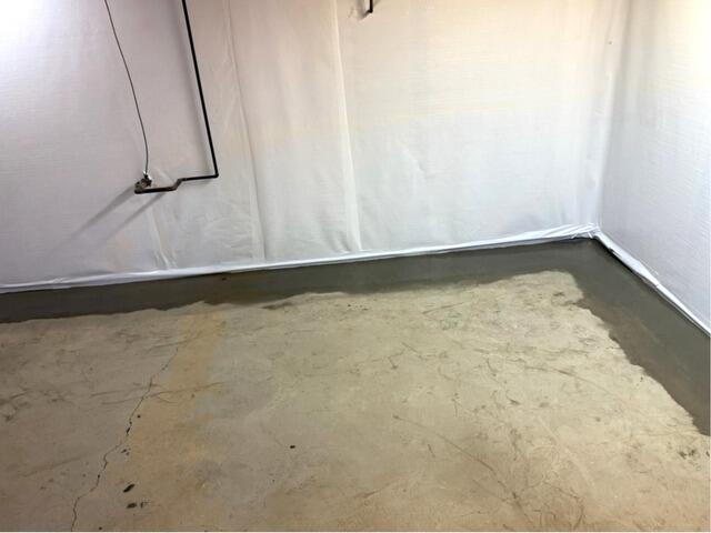 Humid Basement Transformed in Sheffield Lake, OH - After Photo