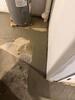 Wet Basement Repair in Solon, OH