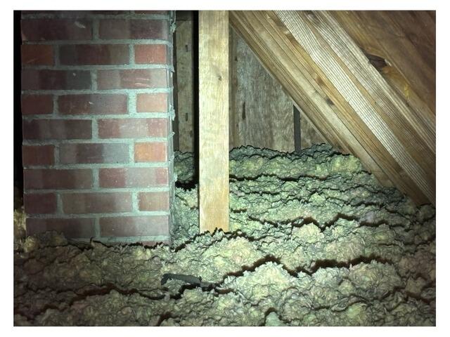 Recently Remodeled Home Insulated with Cellulose in Bay Village, OH