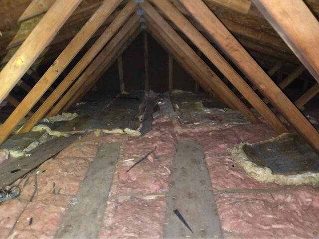 Tru-Soft Cellulose Installation in Vermilion, OH