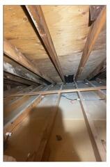 Attic Extraction Complete in Lyndhurst, OH