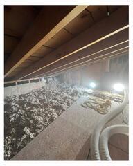 60 Year Old Home Insulated with Cellulose in Cleveland, OH