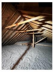 Mold-Resistant Protection in Solon, OH