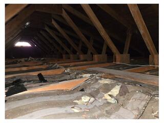 Extraction Completed in Massillon, OH