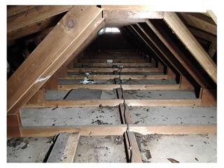 Extraction Completed in Massillon, OH