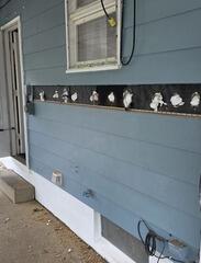 RetroFoam Wall Insulation Job in Rittman, OH