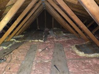Tru-Soft Cellulose Installation in Vermilion, OH