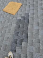 Shingle Roof Maintenance in Malcolm, NE for Luke F.