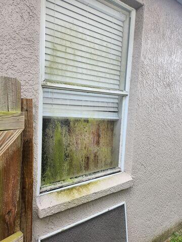 Apollo Beach Window Cleaning - 
