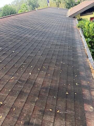 Roof Wash Tampa, FL - Before Photo