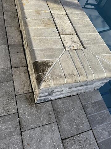 Paver Clean Dover, FL - Before Photo