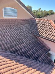 Roof Cleaning Apollo Beach, FL