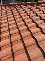 Roof Soft Washing Riverview, FL