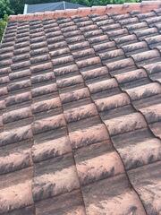 Roof Soft Washing Riverview, FL