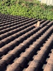 Roof Clean Tampa, FL