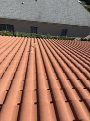 Roof Cleaning Tampa, FL