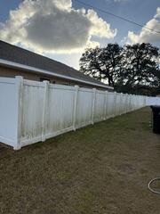 Fence Cleaning Tampa, FL