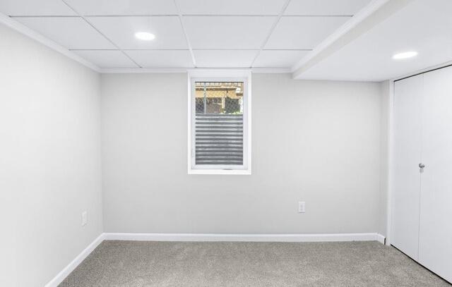 Hopkins, MN Basement Bedroom