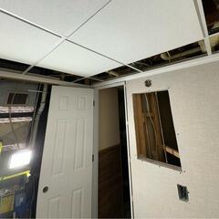 Mounds View, MN Basement Bath Remodel