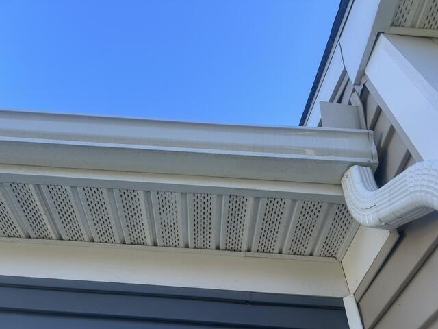 Gutter Brightening in Lewes, DE - Before Photo